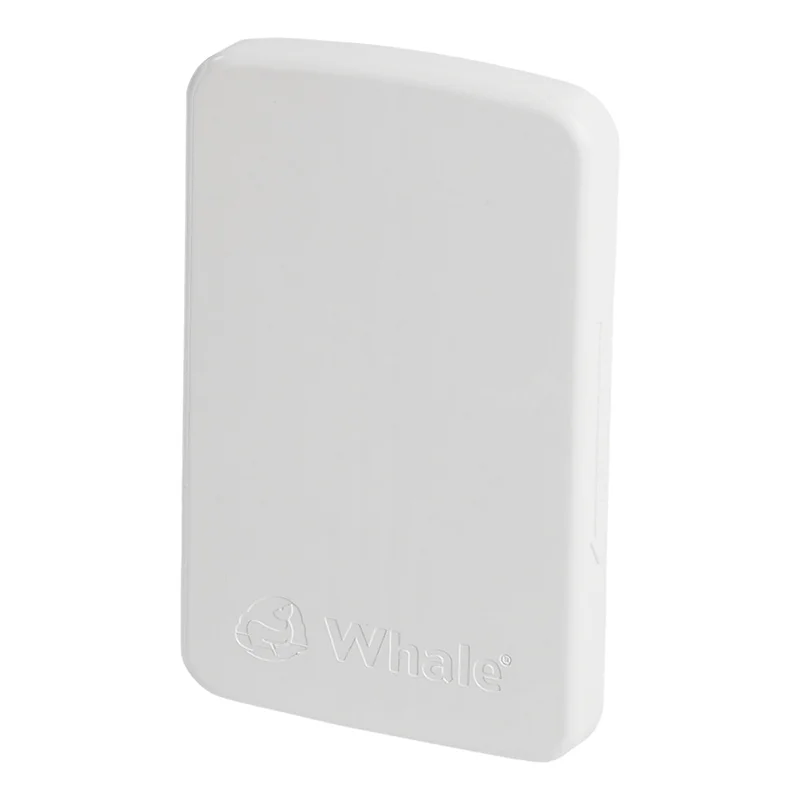 Whale Flap recessed box White